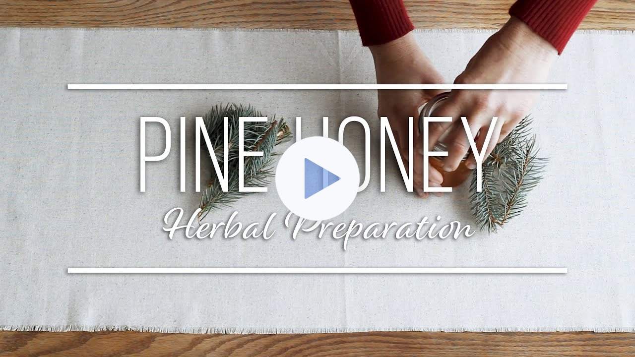 Pine Honey