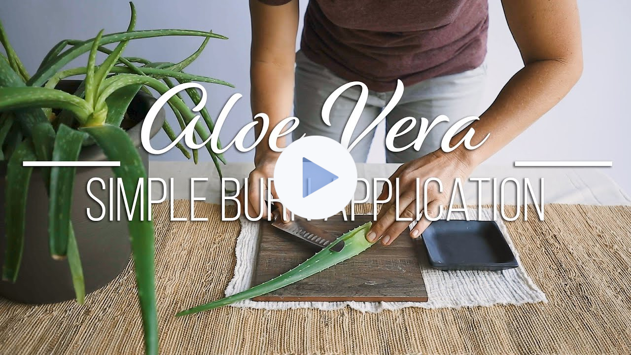 Aloe Vera - Simple Burn Application