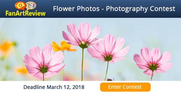 FanArtReview - Flower Contest