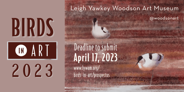 CALL FOR ARTISTS! Leigh Yawkey Woodson Art Museum: Birds in Art 2023 - DEADLINE APRIL 17, 2023