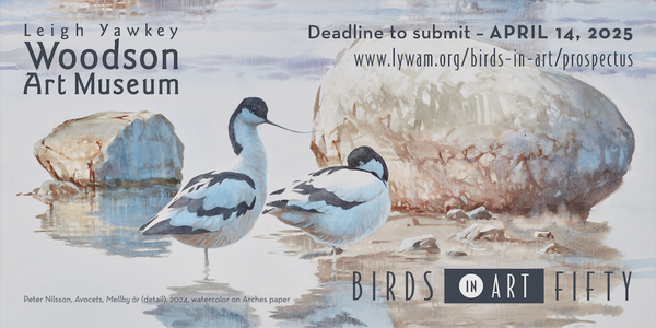 CALL FOR ARTISTS! Leigh Yawkey Woodson Art Museum: Birds in Art 2025 - DEADLINE APRIL 14, 2025