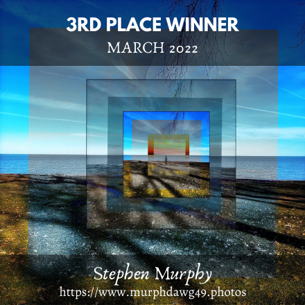 Stephen Murphy
