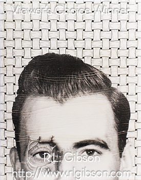 AOM - Viewer's Choice Award