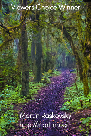 AOM - Viewer's Choice Award