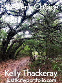 Kelly Thackeray- Viewer's Choice