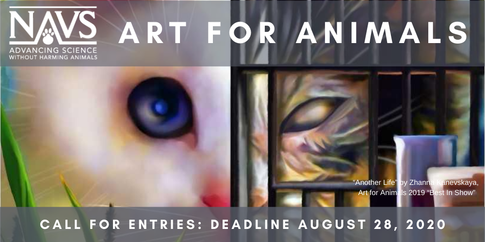 NAVS' Art for Animals Contest 2020