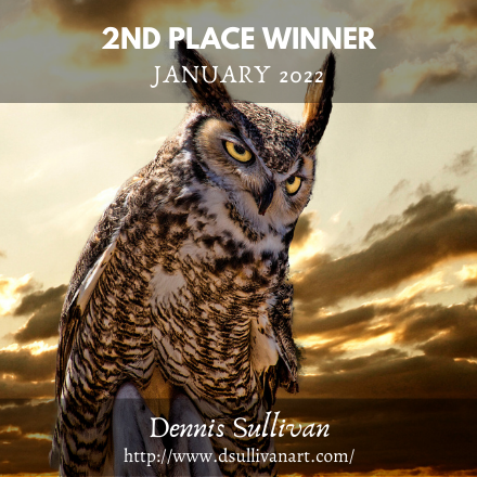 Dennis Sullivan - "A Mouse's View"