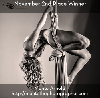 AOM - 2nd Place Winner