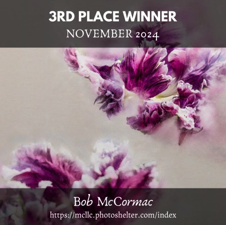 Bob McCormac