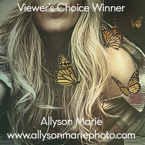 AOM - Viewer's Choice Award
