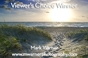 AOM - Viewer's Choice Award