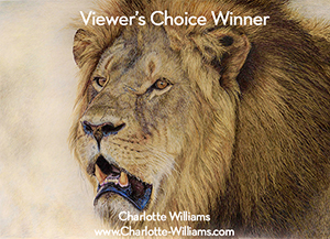 AOM - Viewer's Choice Award
