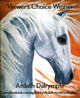 AOM - Viewer's Choice Award