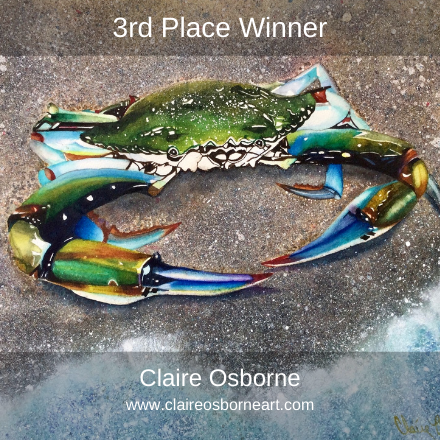 Claire Osborne Artist