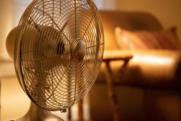 An electric fan