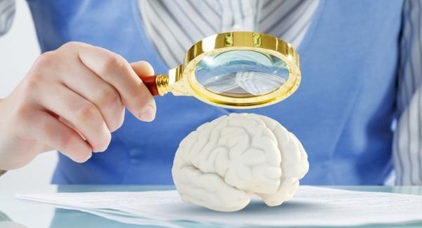 A magnifying glass looking at a brain