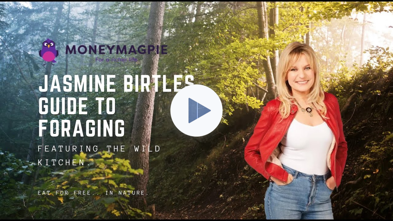 Jasmine Birtles' Guide to Foraging