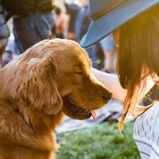 Puppies