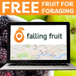 Falling Fruit -  Free foraging spot locator