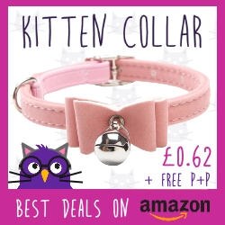 Kitten Collar Just 62p