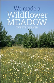 Wildflower Meadow