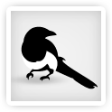 rip-off blog