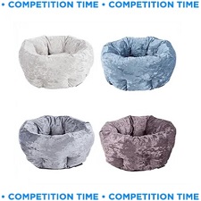Velvet dog bed