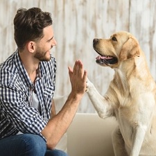 Make money with your pet