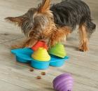 Brightkins Pet Bundle