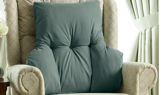 moneymagpie_cushion