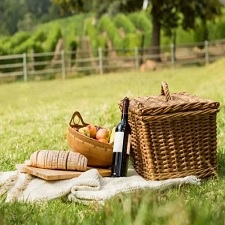 cheap picnic ideas