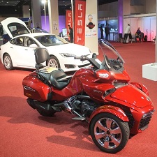 The Indulgence Show