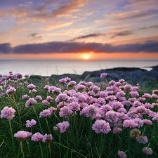 Scotland