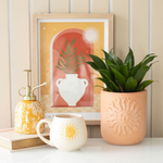 Tenovus Cancer Care