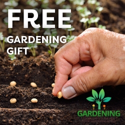 Free gardening gift