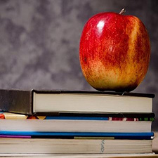 university degree