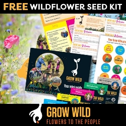 Free Wildflower Seed Kit From Grow Wild