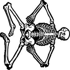 body