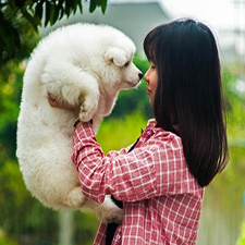 What your pet choice says about you