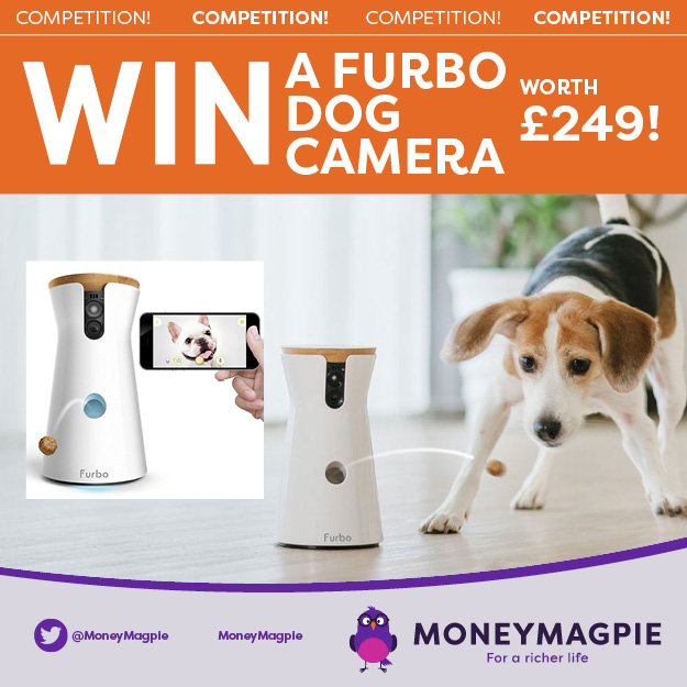 Furbo dog camera