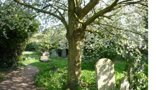 Graveyard 