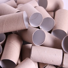 Old toilet rolls