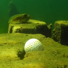 Golf ball diver