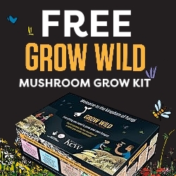 Free Mushroom Grow Kit From Grow Wild
