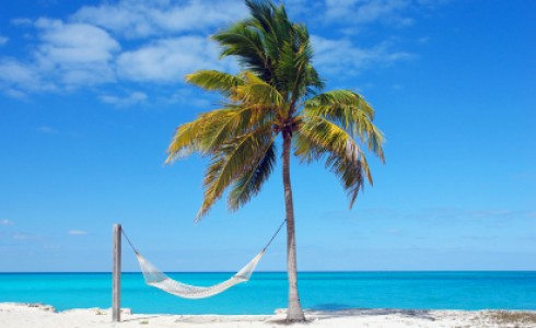 tropical beach