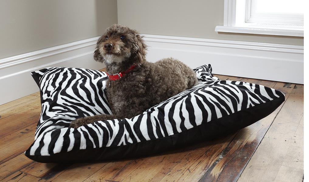 dog on bed