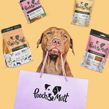 Pooch & Mutt