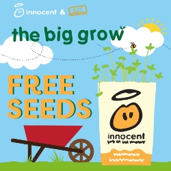 Free Innocent seeds