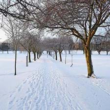 winter