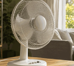 fan